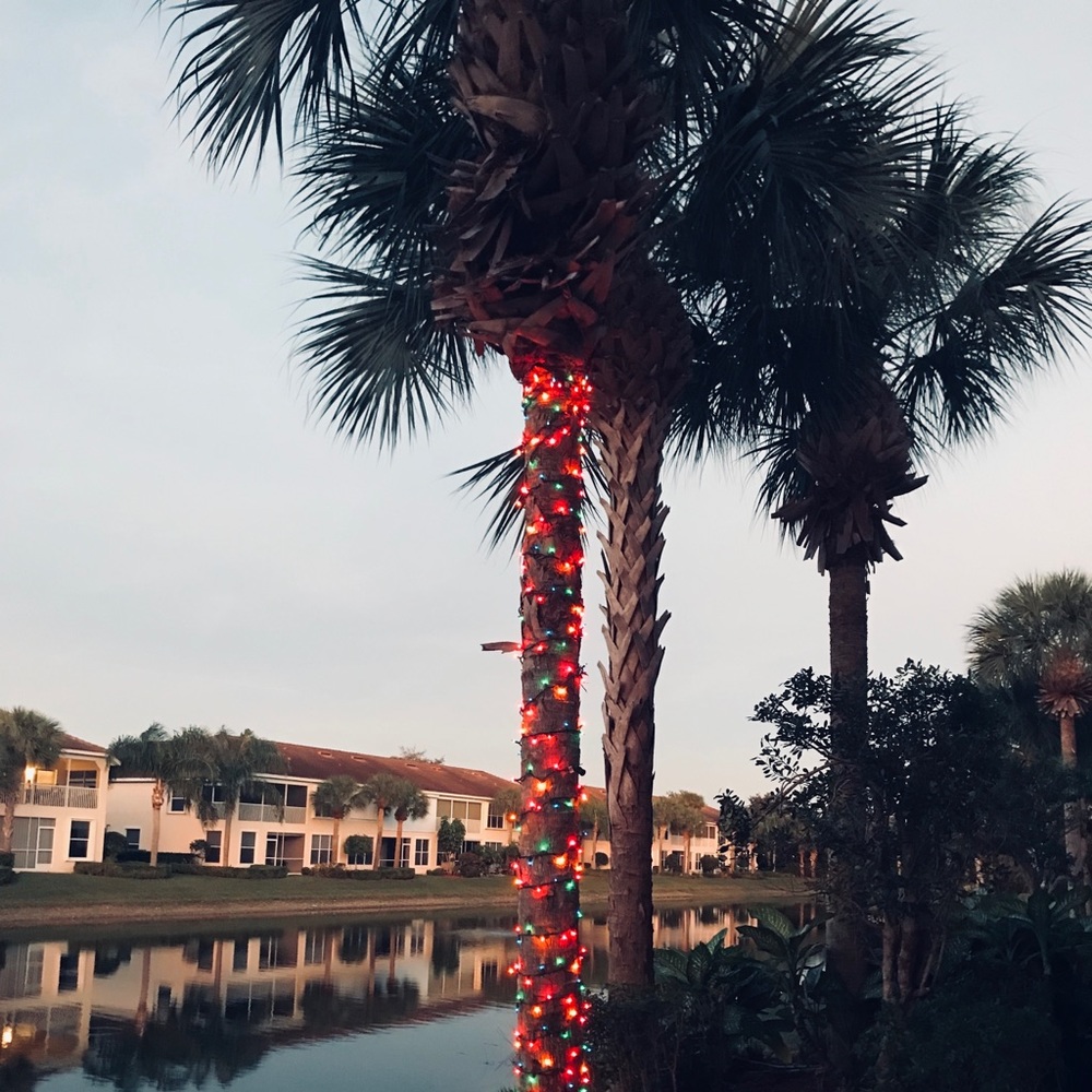 Meet your Posher, Alissa